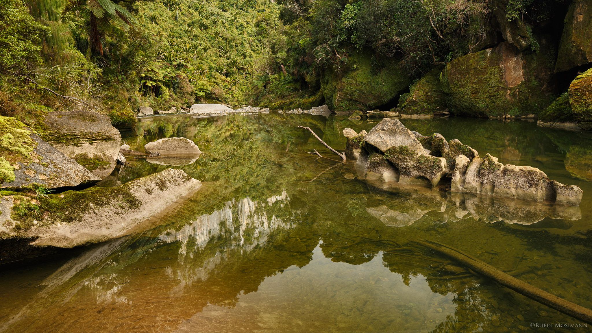 Pororari River Track, New Zealand