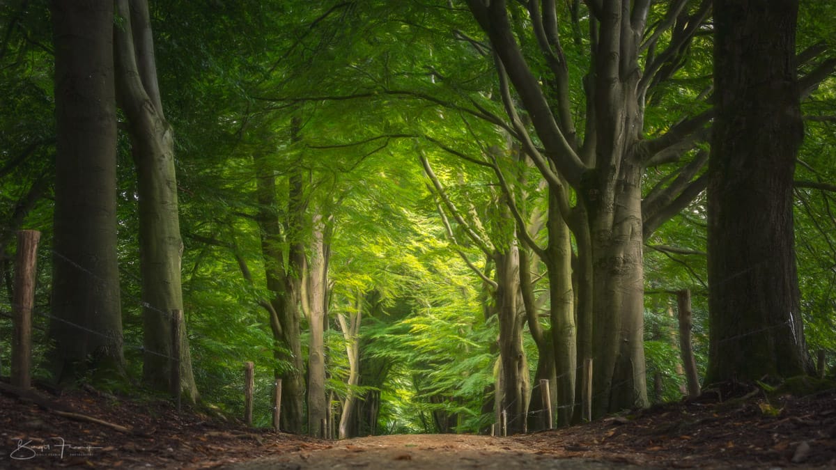 Posbank - Veluwezoom, Netherlands
