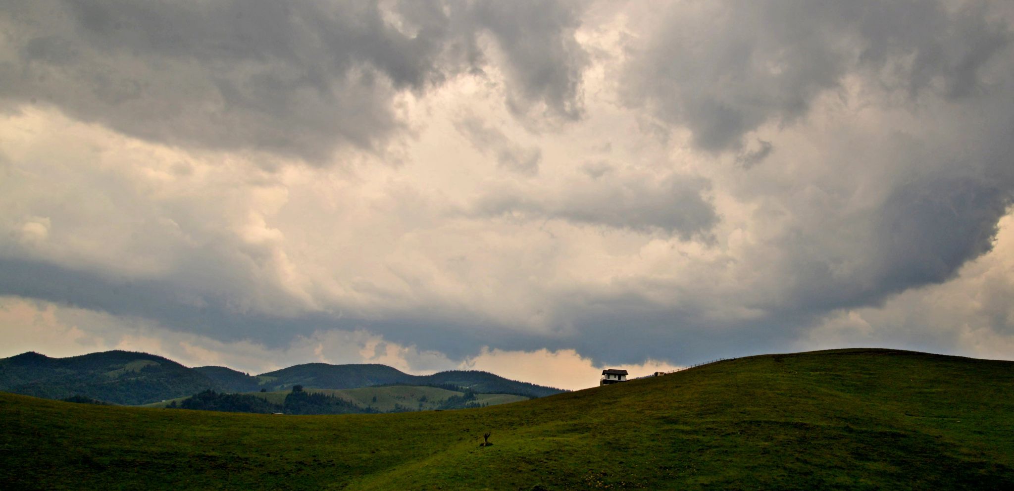 Road to Paltinis, Romania