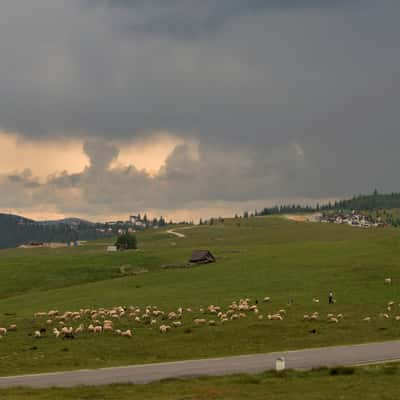 Road to Paltinis, Romania