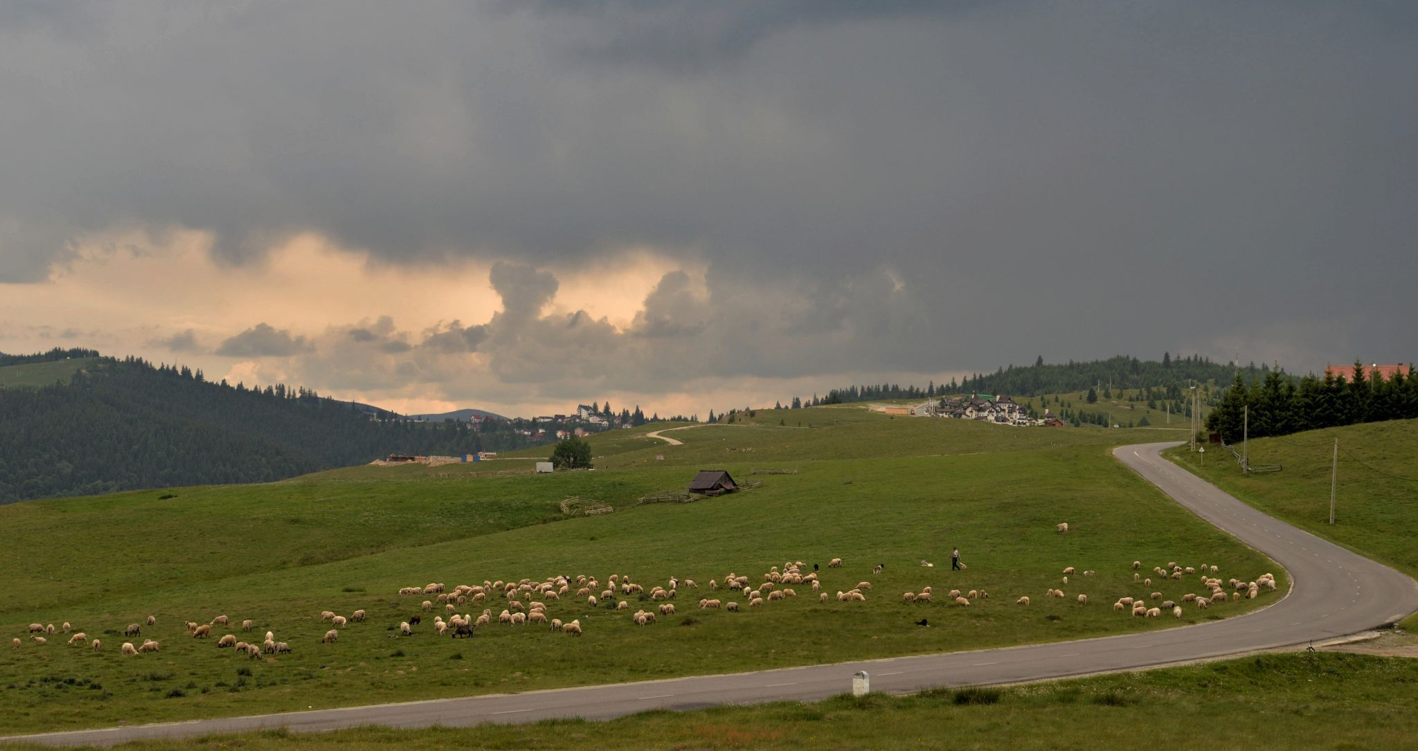 Road to Paltinis, Romania