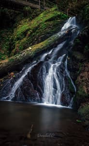 Spot's along the Wutachschlucht