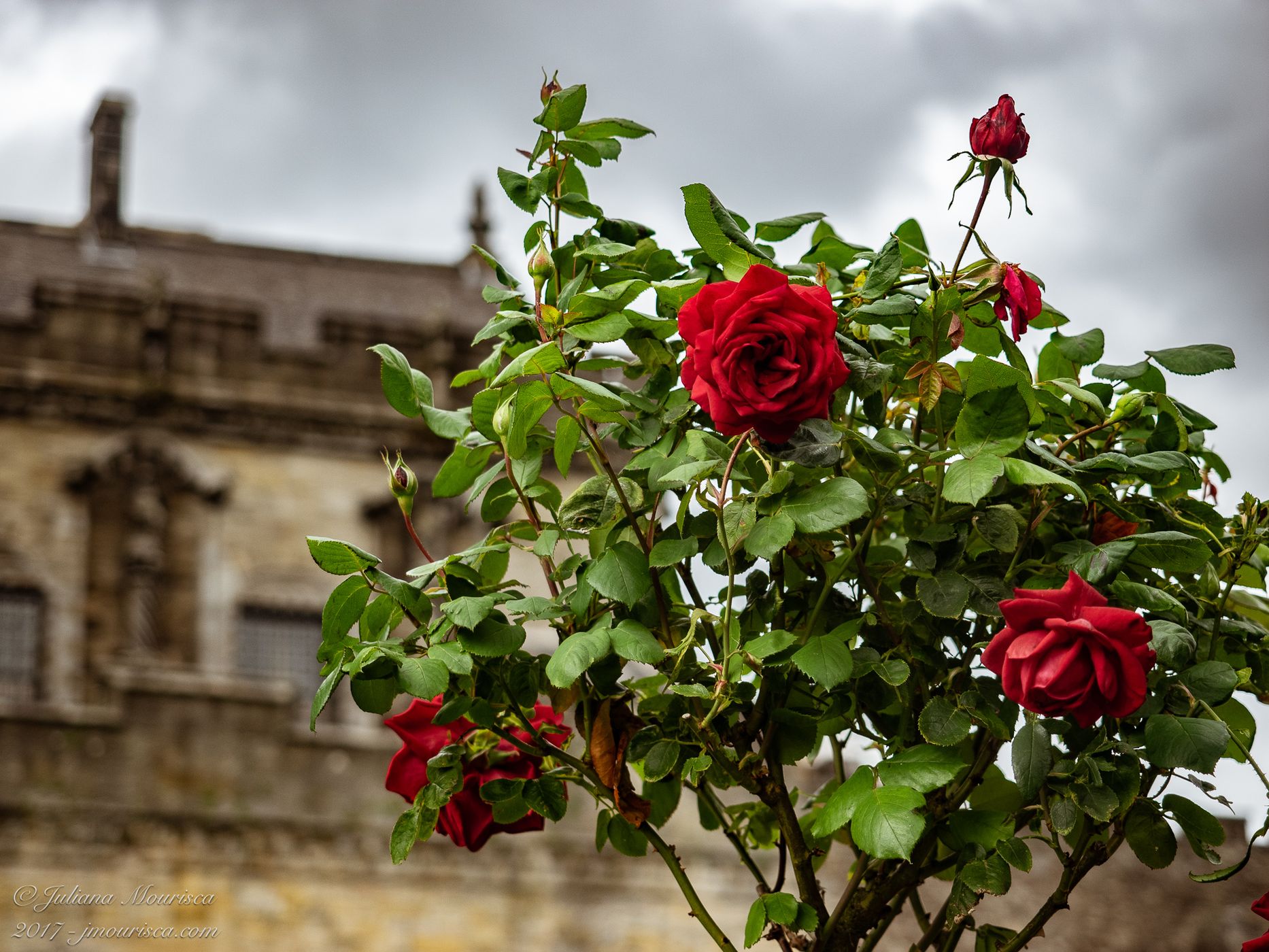 Stirling Castle, United Kingdom