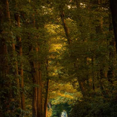 Tunnel Vision, Netherlands