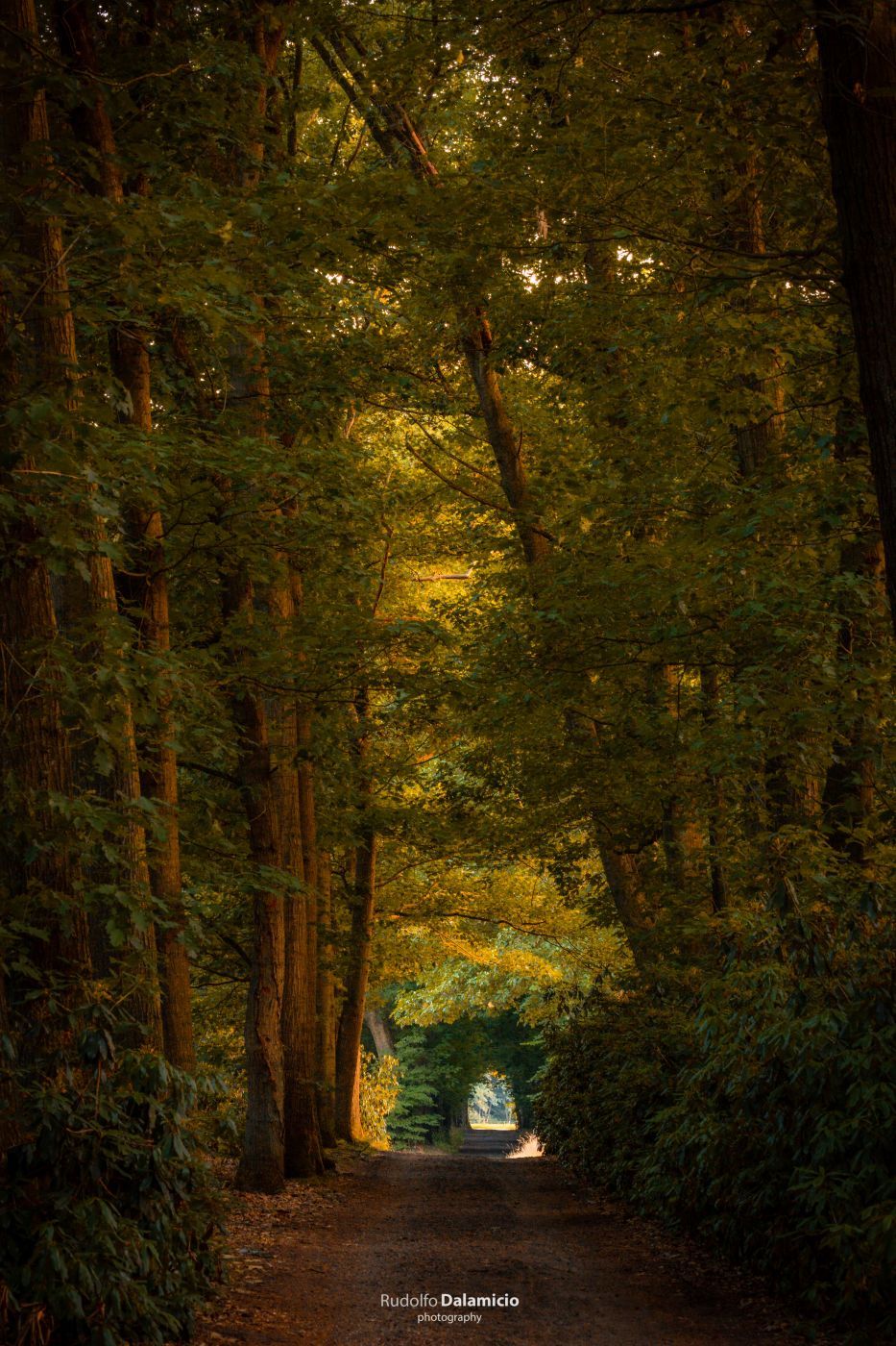 Tunnel Vision, Netherlands