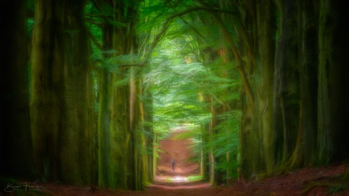 Veluwezoom Dieren, Netherlands