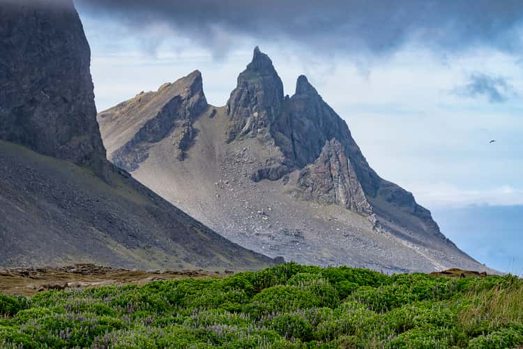 Vestrahorn, Stokksnes