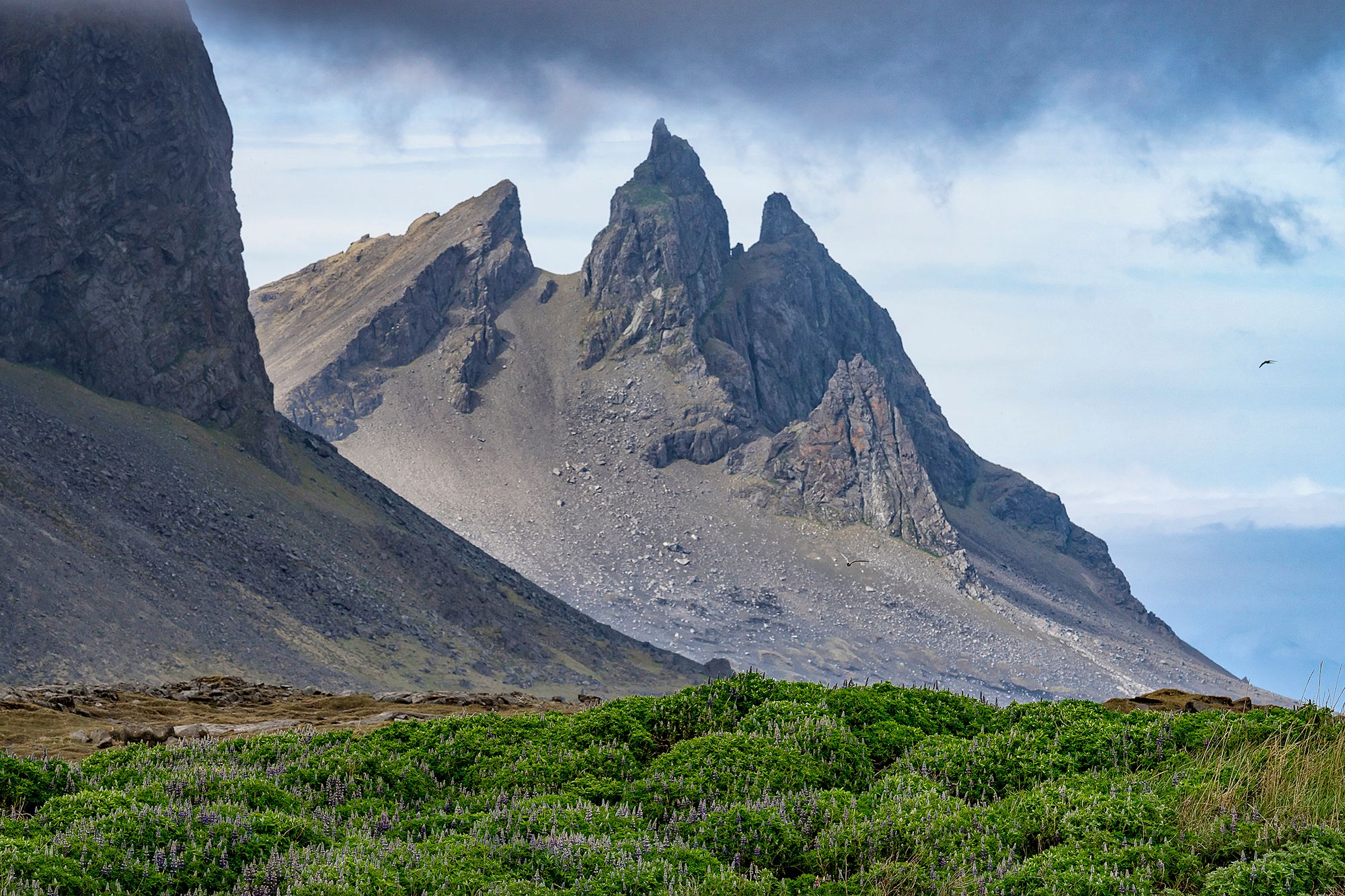 Vestrahorn, Stokksnes, Iceland