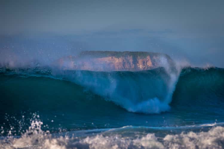 Wave grasshopper Island Pebbly Beach NSW
