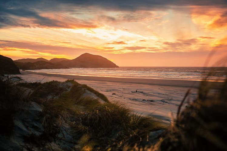 Wharariki Beach