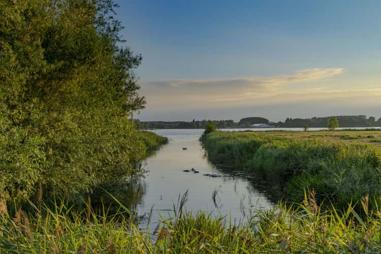 zevenhuizerplas
