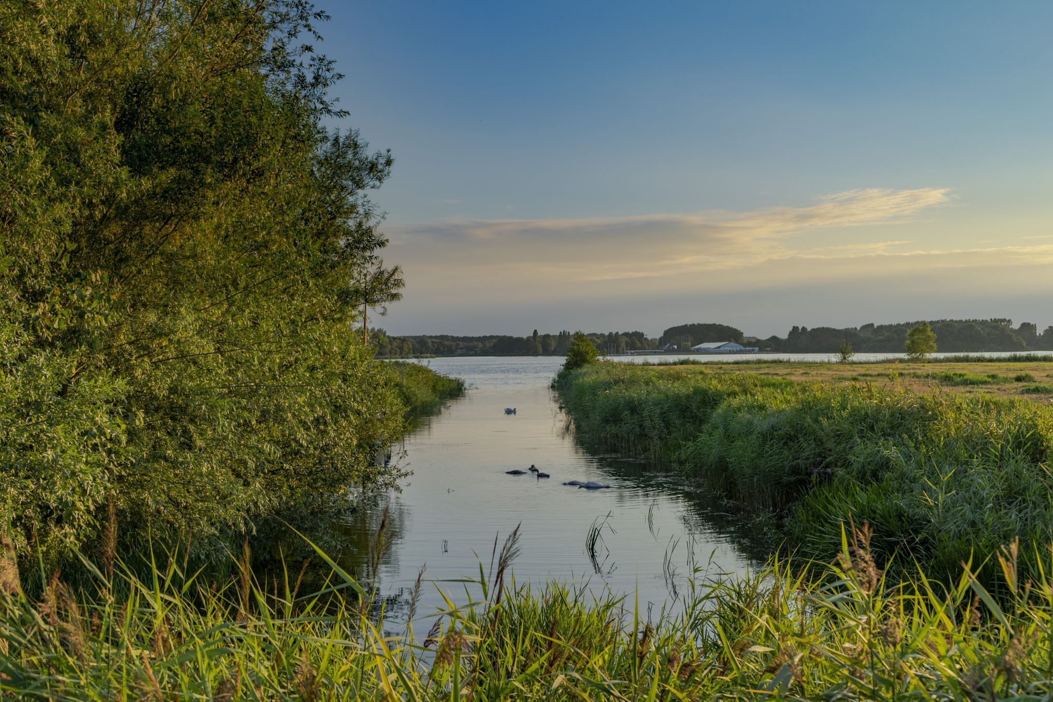 zevenhuizerplas, Netherlands