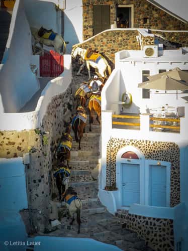 3 Blue Domes In Oia
