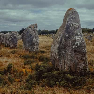 Alignements de Carnac, France