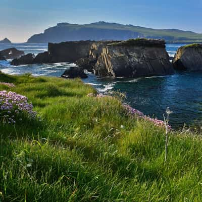 Ballincolla-Dingle Peninsula, Ireland