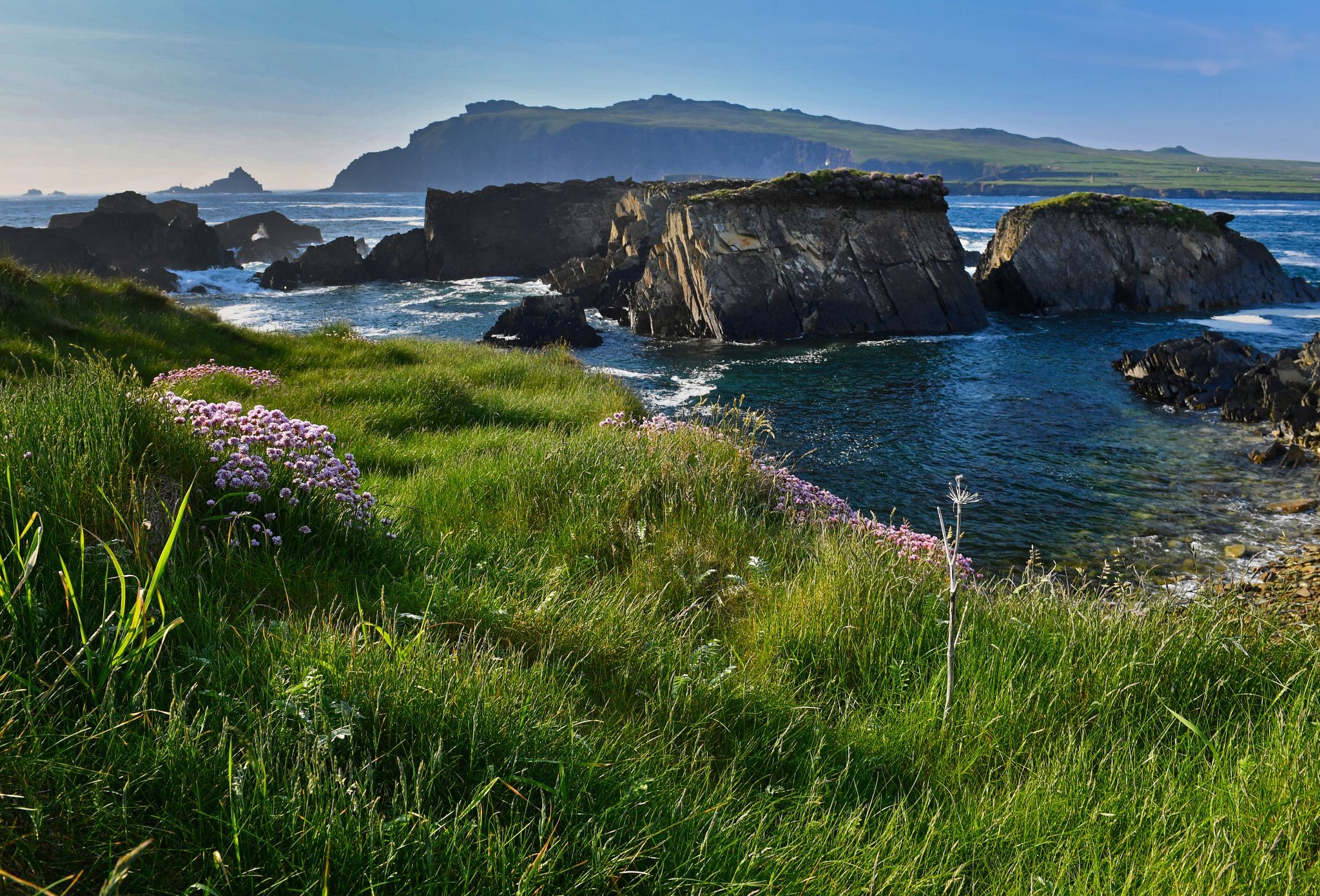 Ballincolla-Dingle Peninsula, Ireland