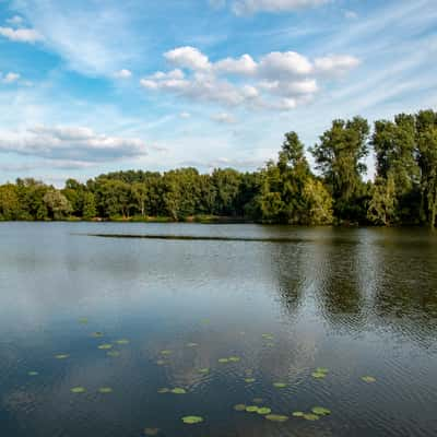 Borner See, Germany