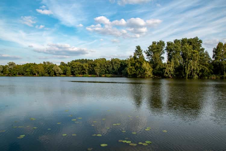 Borner See