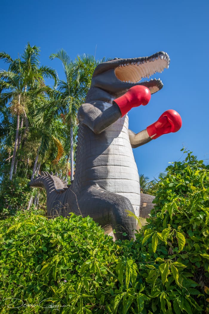 Boxing Crocodile Statue Humpty Doo Northen Territory, Australia