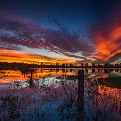 Bushels Lagoon Sunrise Freeman's Reach Sydney, Australia