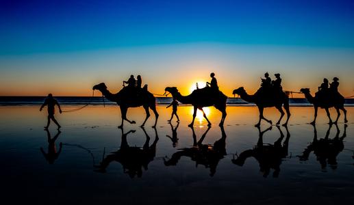 Camel Train Sunset Cable Beach Broome Western Australia