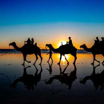 Camel Train Sunset Cable Beach Broome Western Australia, Australia