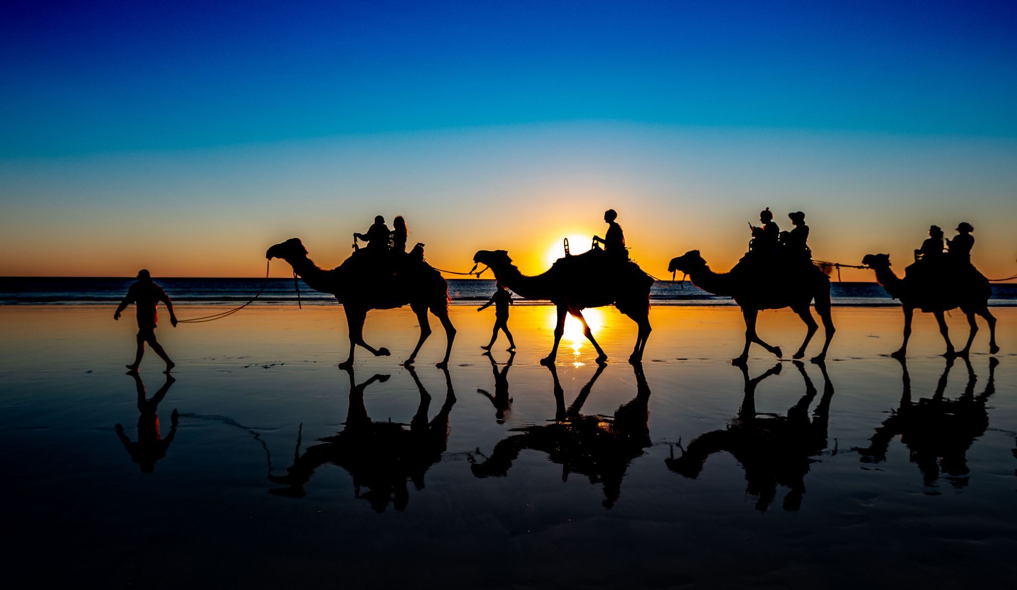Camels Cable Beach Broome, Western Australia, Australia