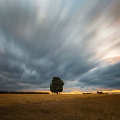 Cant keep my eyes, Netherlands