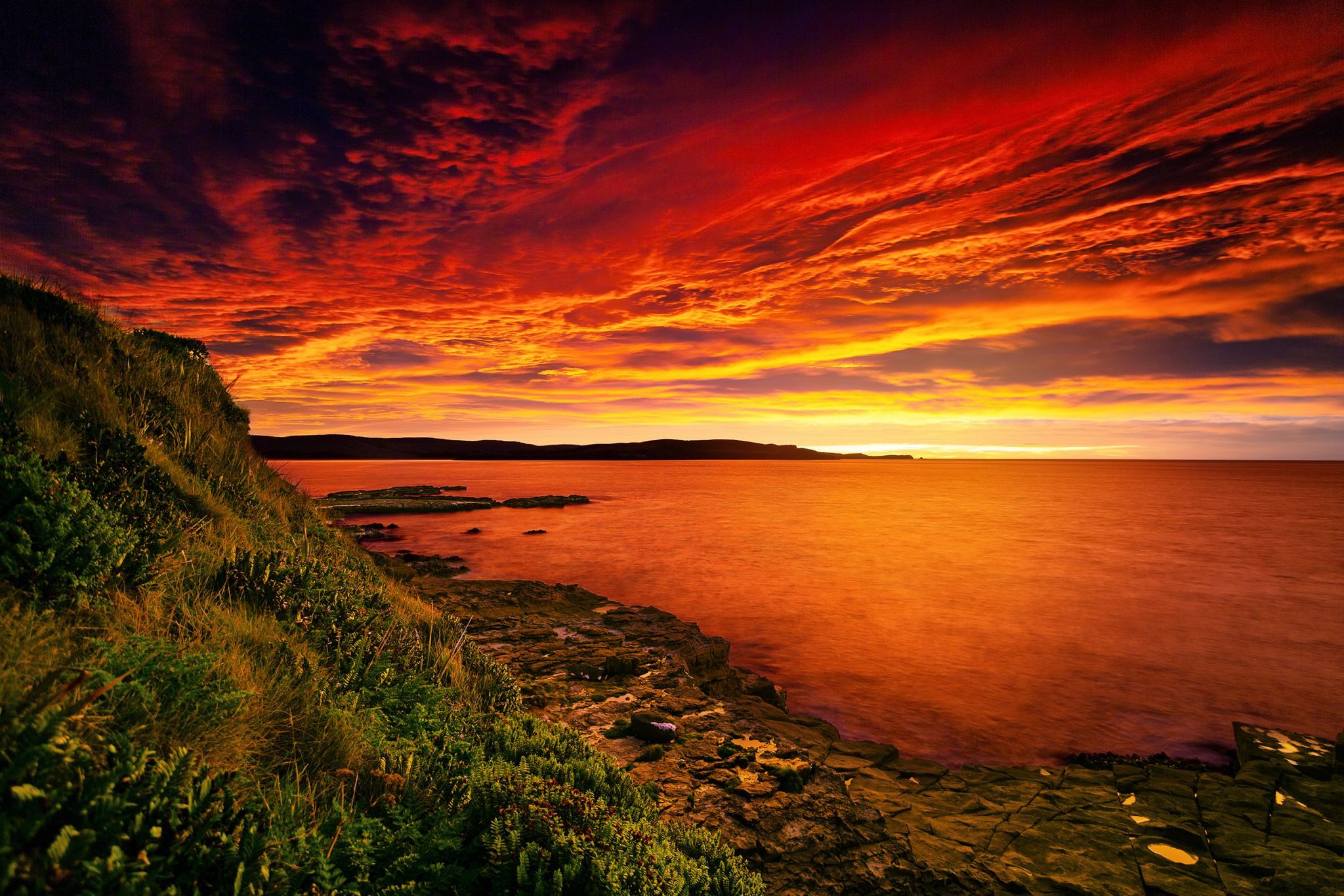 Curio Bay, New Zealand