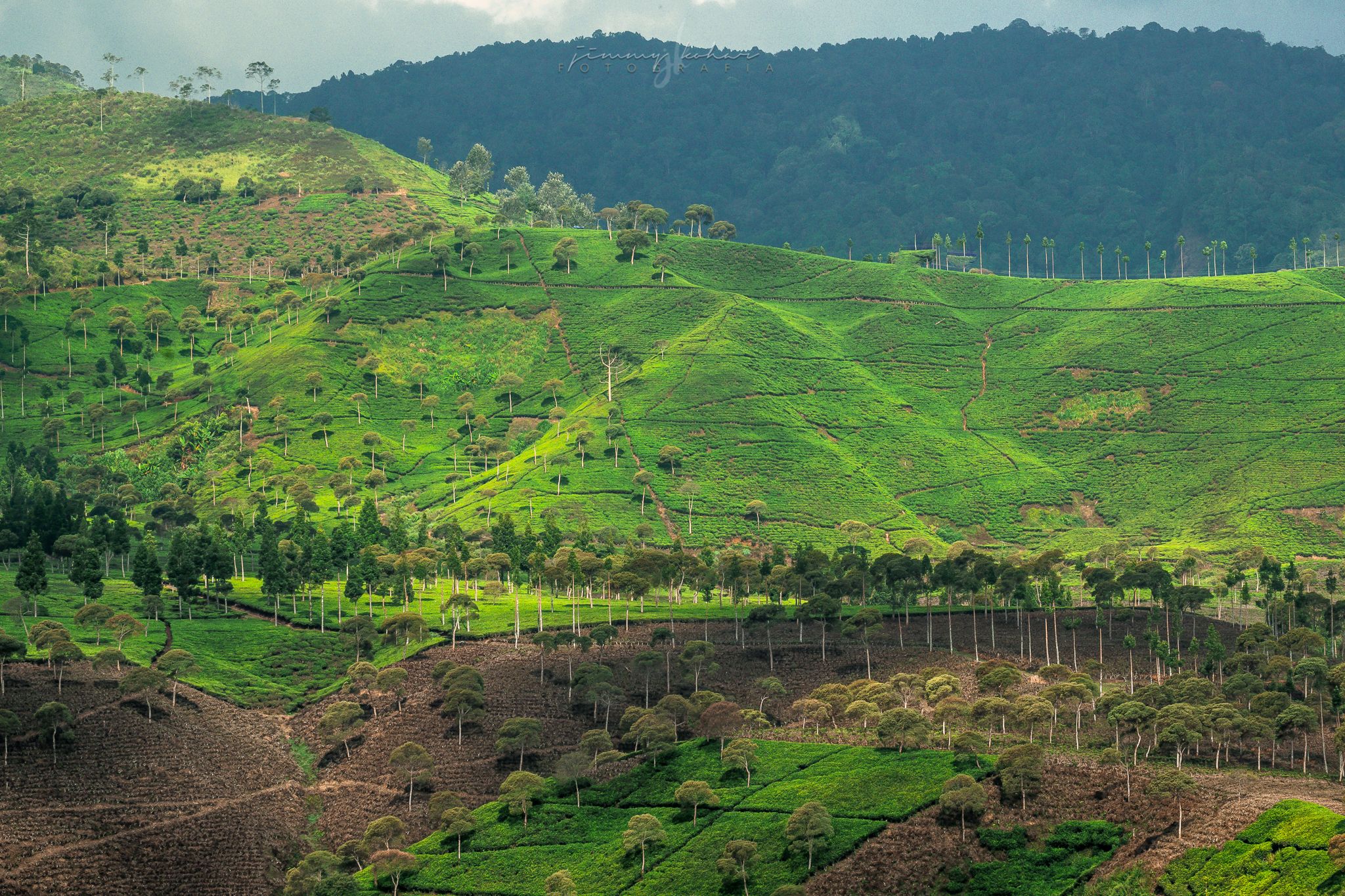 Curug Citambur, Indonesia