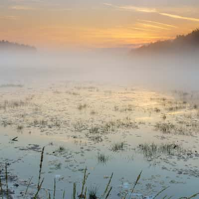 De Teut Naturereserve, Belgium