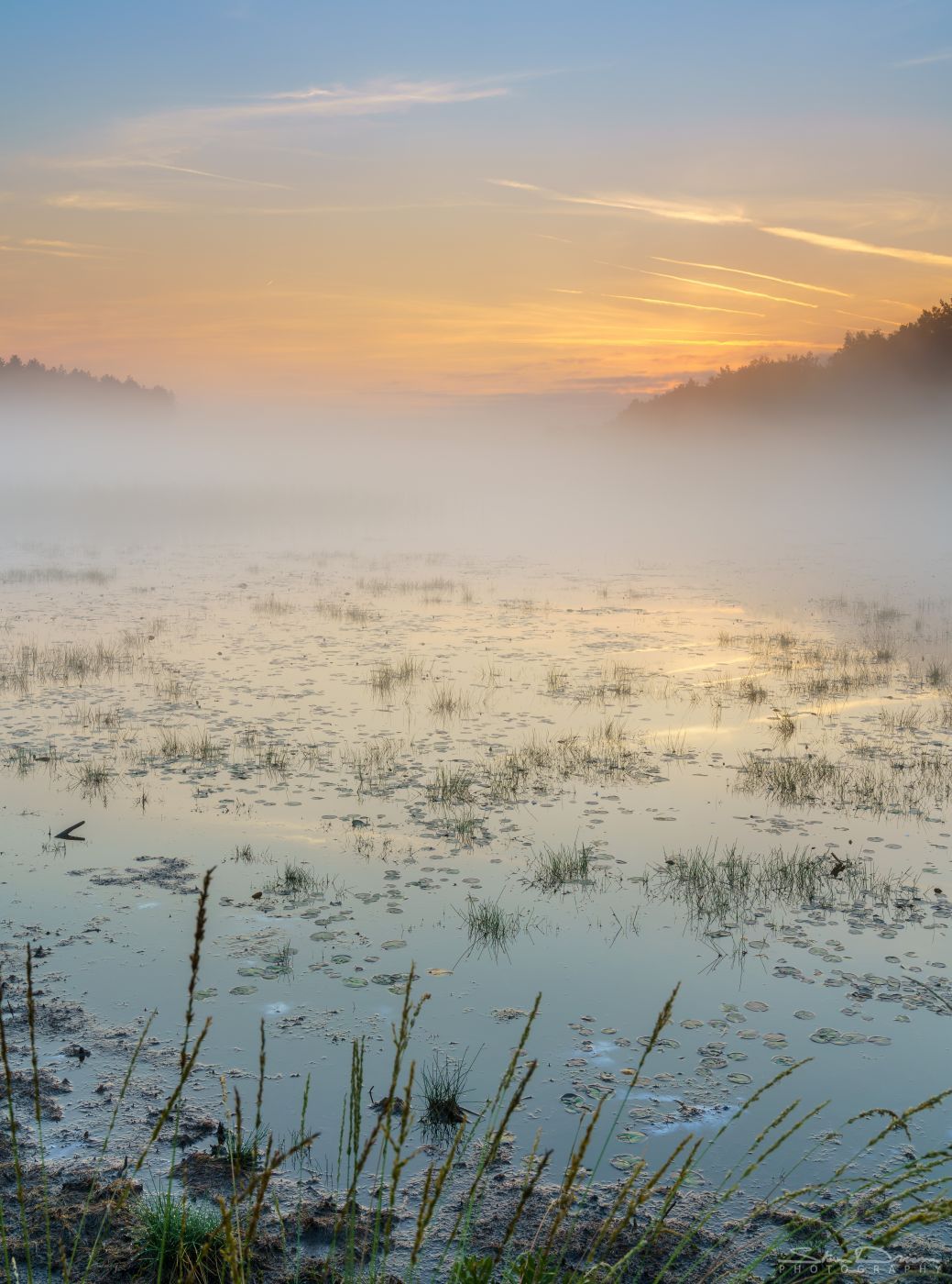 De Teut Naturereserve, Belgium