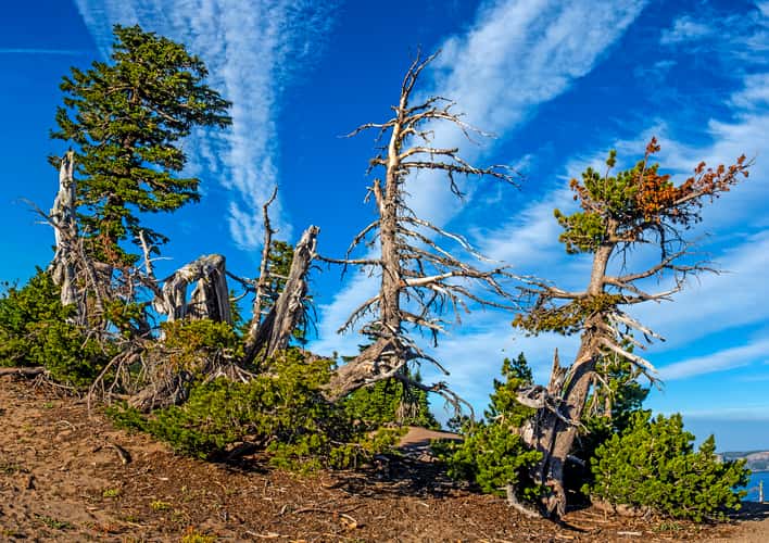 East side view points of Crater Lake