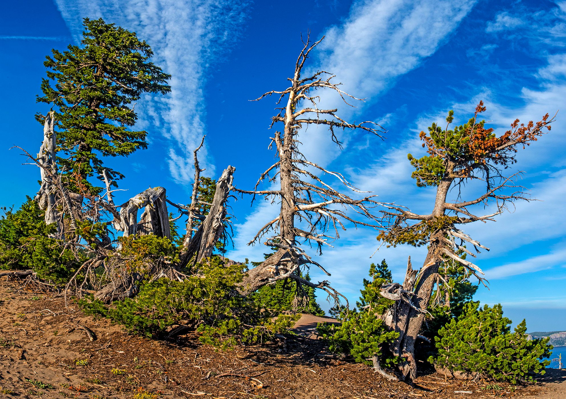 East side view points of Crater Lake, USA