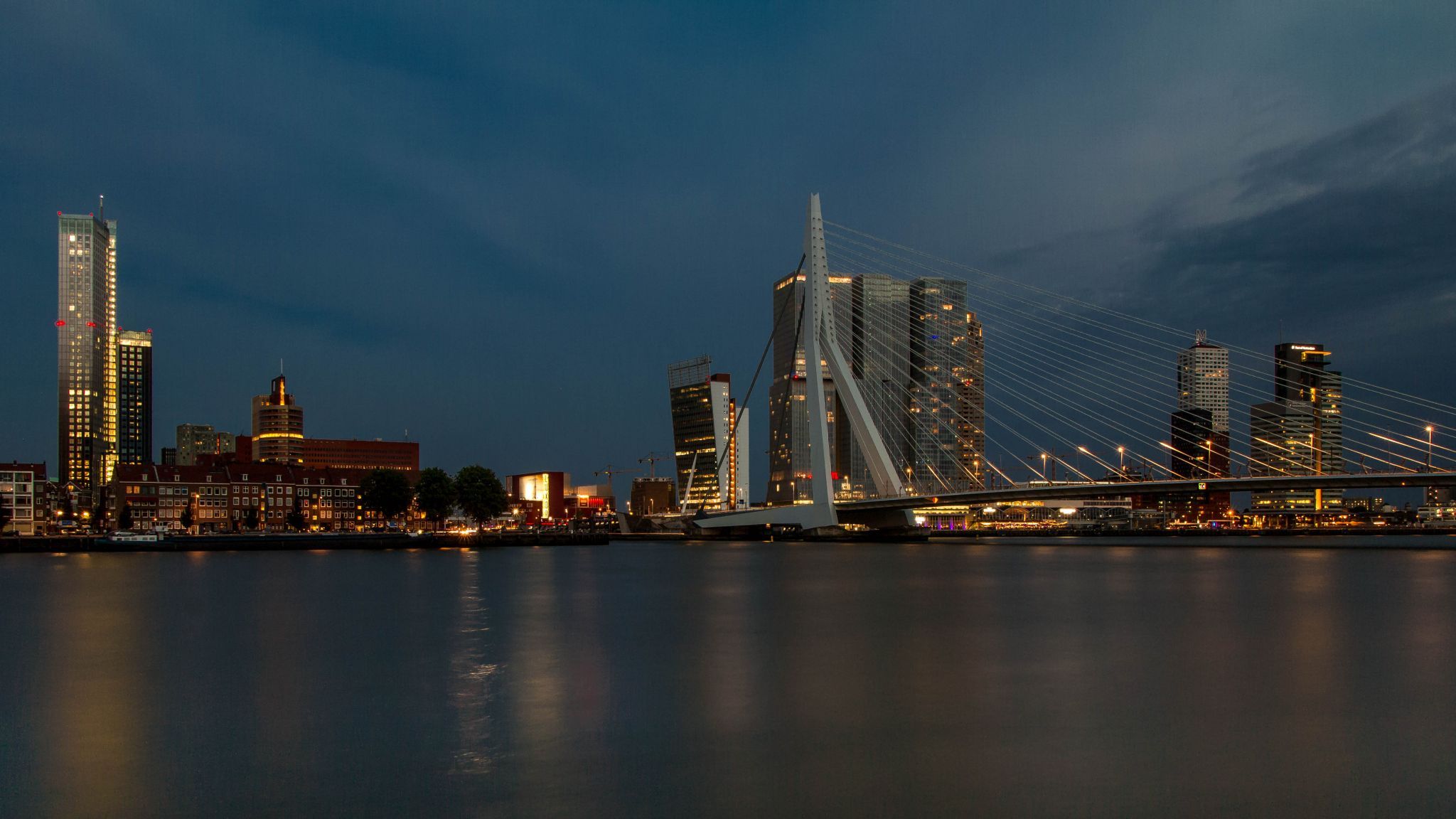 Erasmus Bridge (north view), Rotterdam, Netherlands