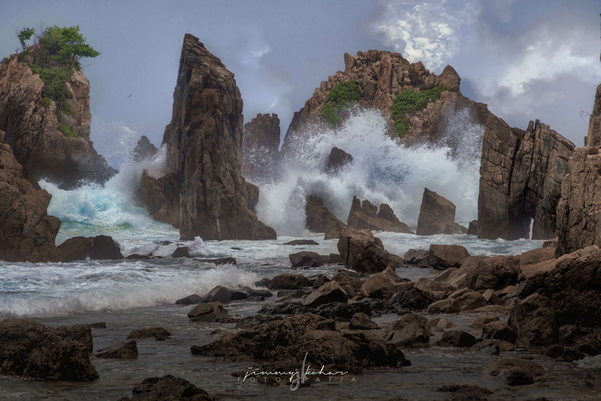 Gigi Hiu, Indonesia