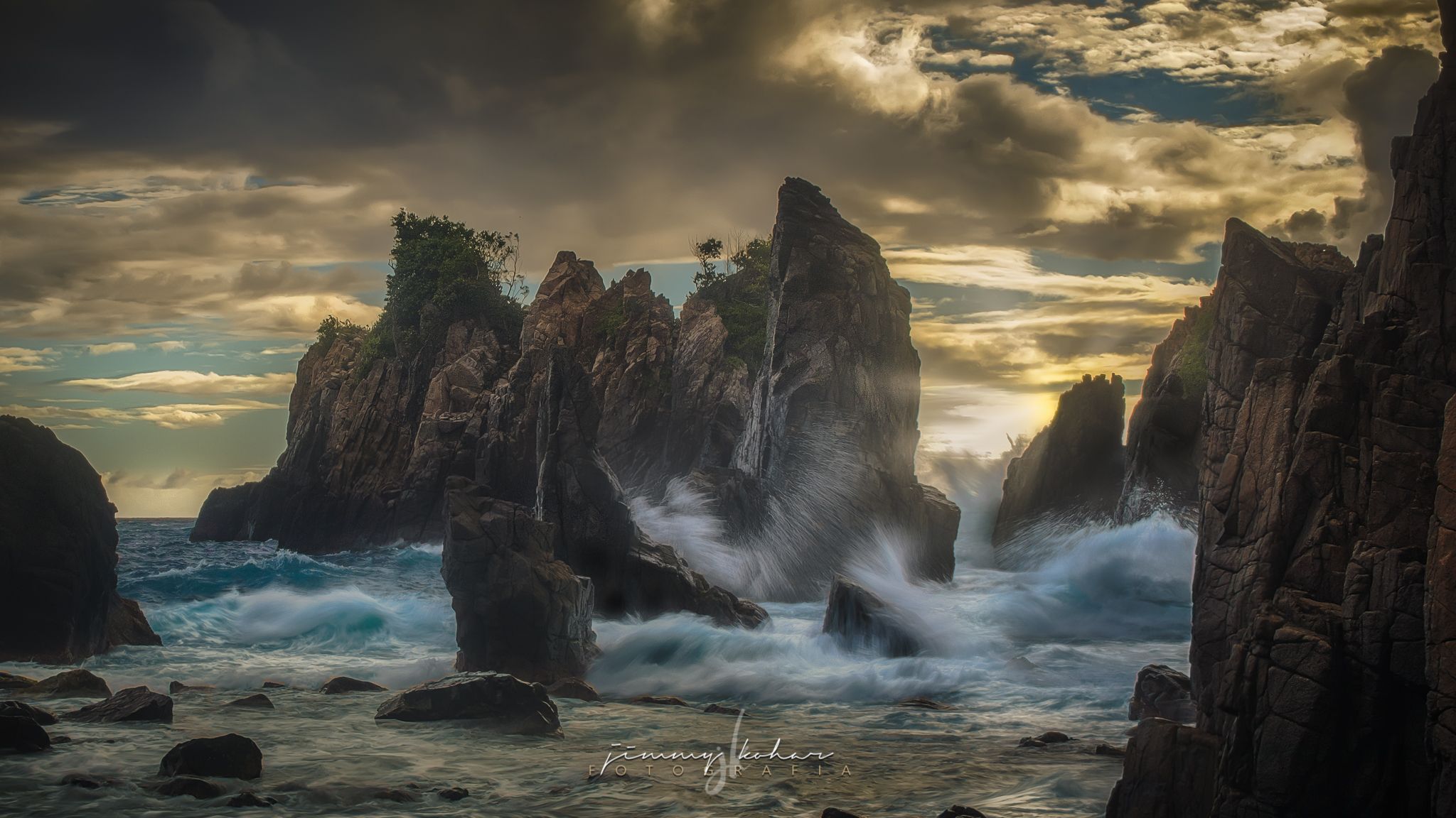 Gigi Hiu, Indonesia