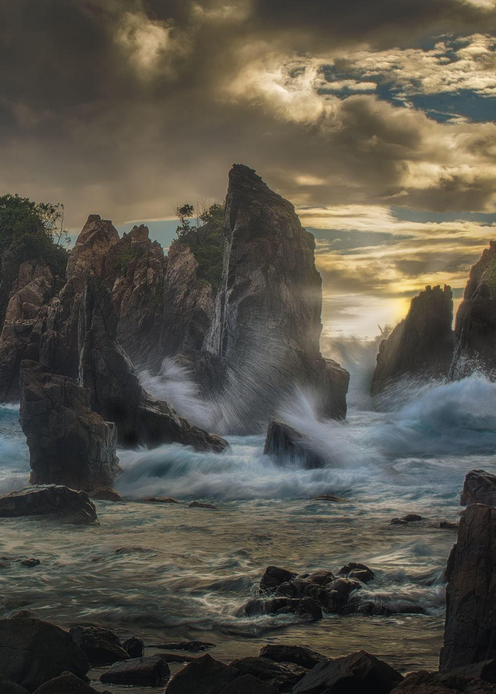 Gigi Hiu, Indonesia