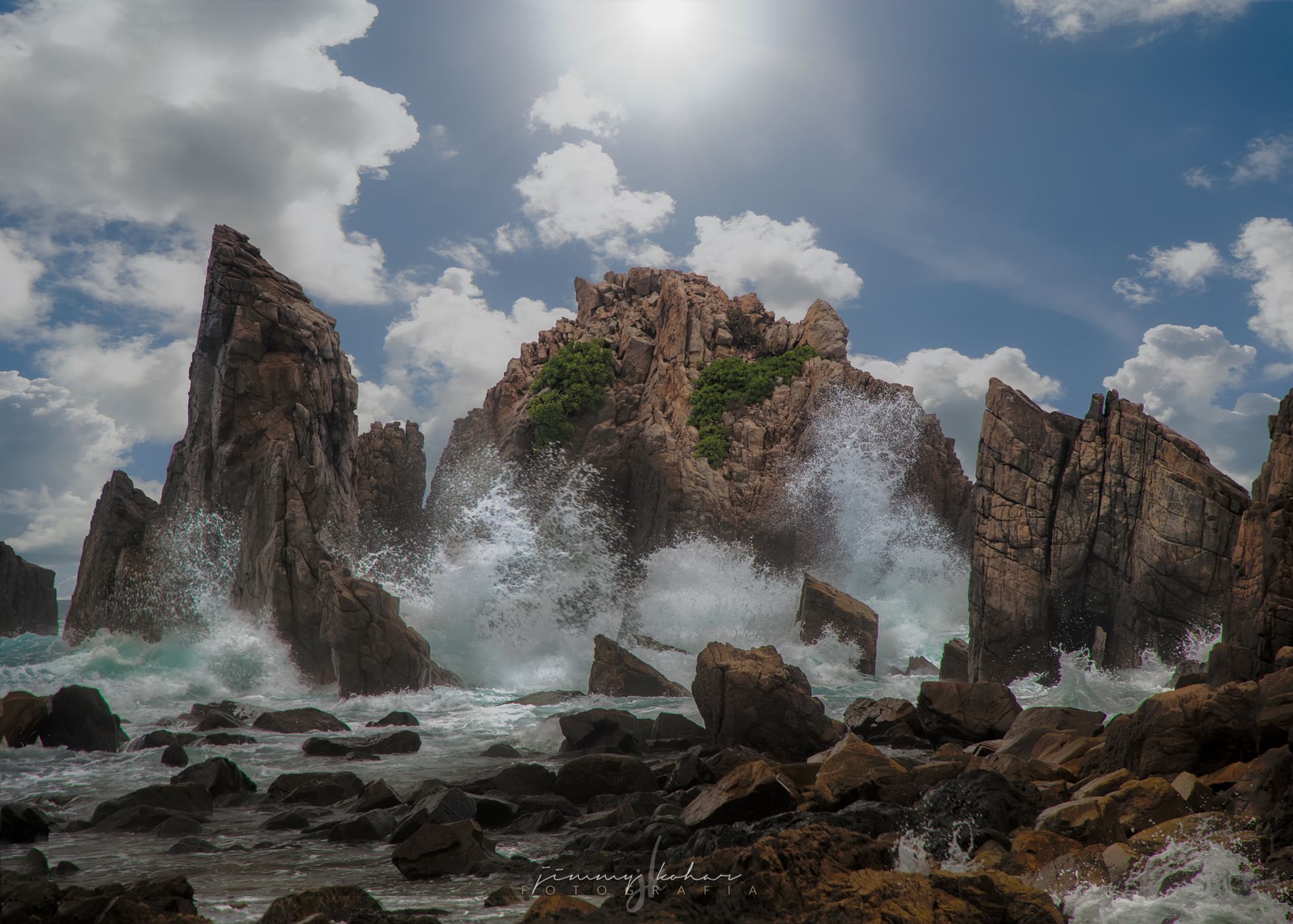 Gigi Hiu, Indonesia