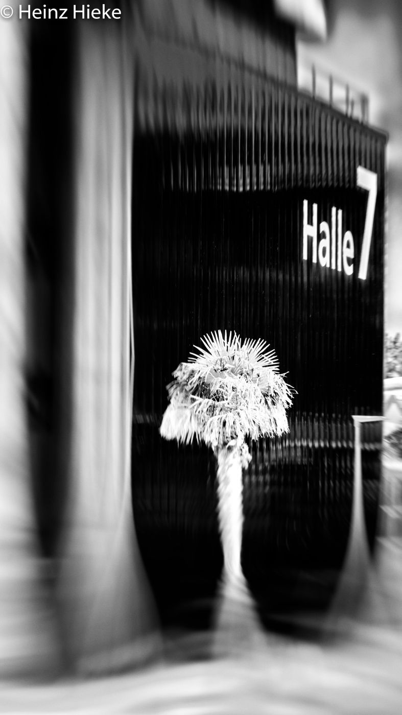 Halle 7, Switzerland