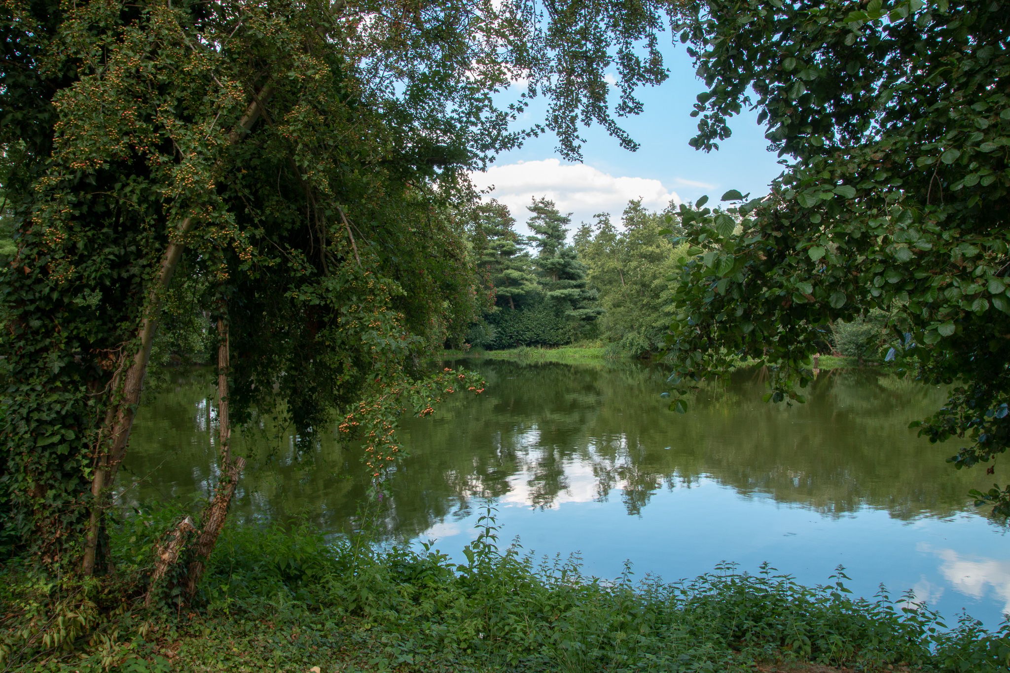Hariksee, Mühlenrather Mühle, Germany