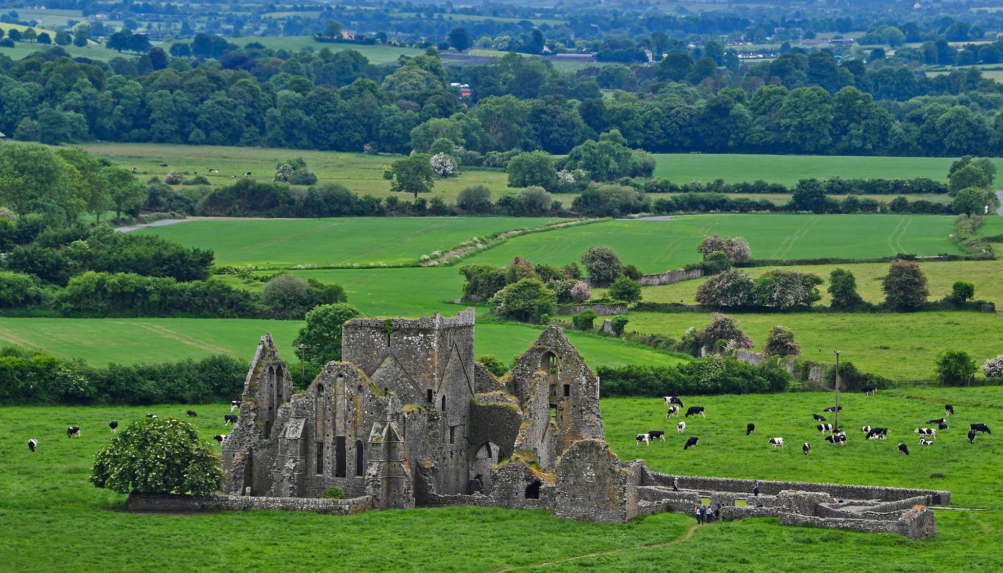 Hore Abbey, Ireland