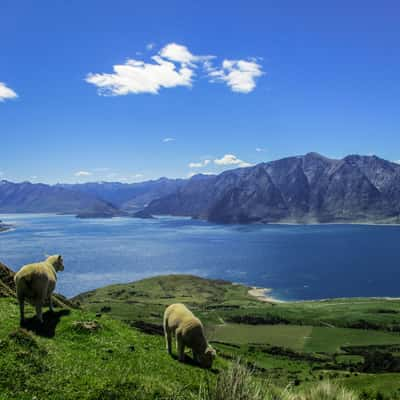 Isthmus Peak Track, New Zealand