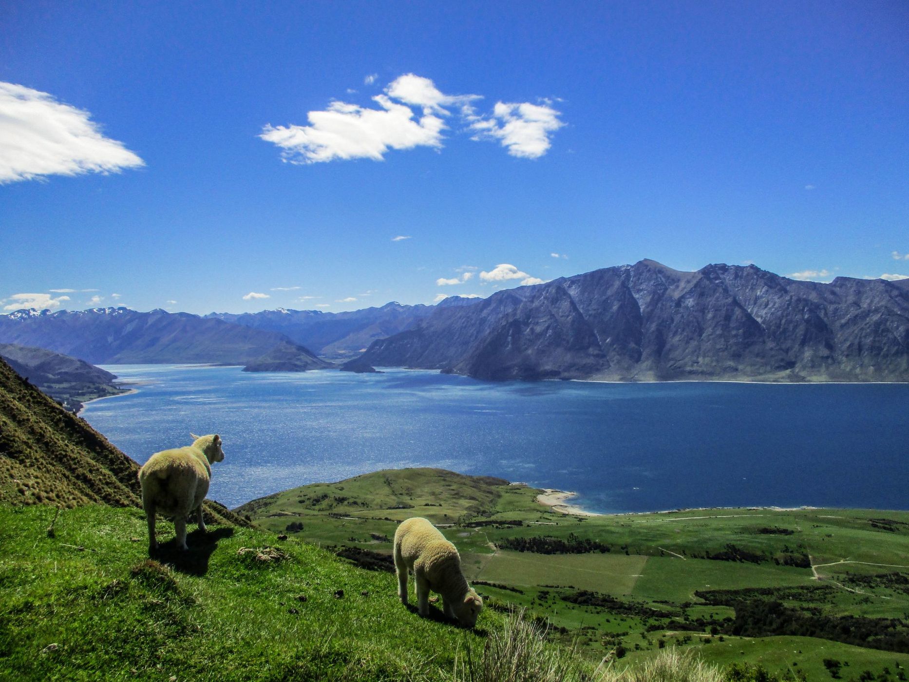 Isthmus Peak Track, New Zealand