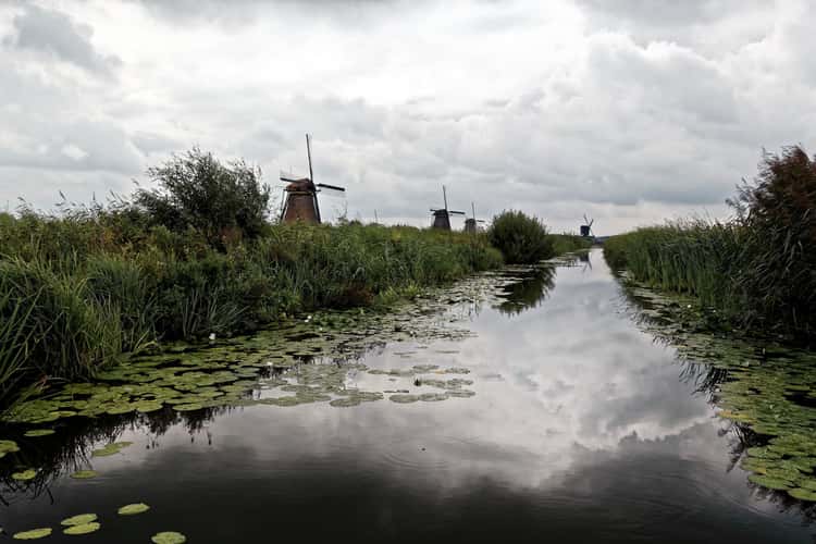Kinderdijk