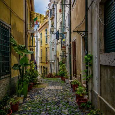 Lisbon, Beco do surra, Portugal