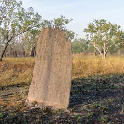 Magnetic Termite Mound, Australia