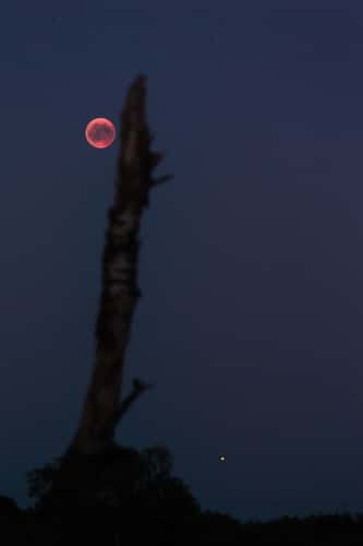 Moon and Mars