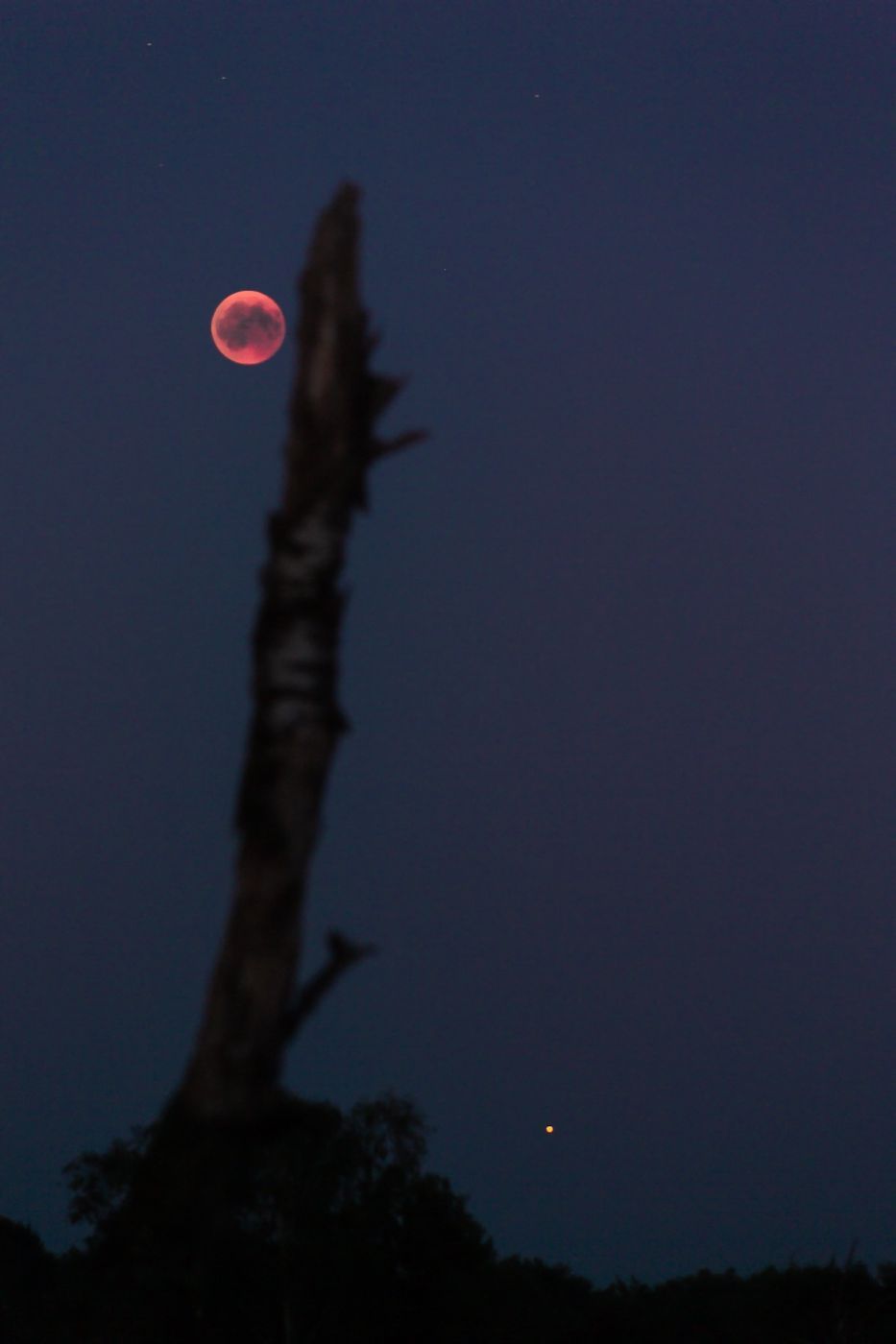 Moon and Mars, Netherlands