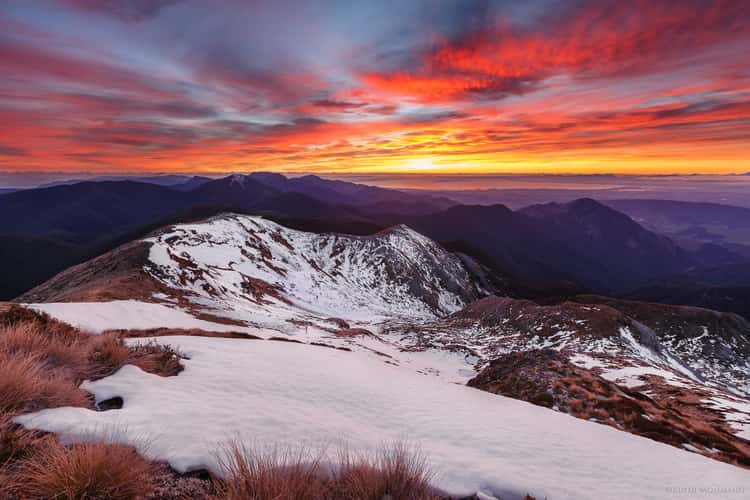 Mt.Arthur Track viewpoint